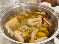 药膳乳鸽-百利鸽王(紫薇路店)