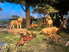 -国家自然博物馆