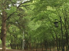 -灵岩山风景区