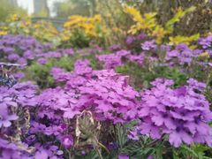 -西宁市人民公园(城西区)