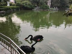-华夏良子·足道SPA艾灸(山东大厦店)