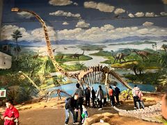 -自贡恐龙博物馆