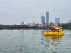 -洋湖国家湿地公园