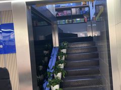 -弋车人洗美·维修·保养(三林店)