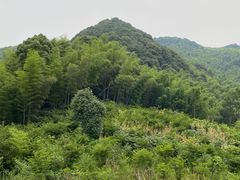 -龙坞茶村