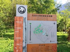 -卧龙中华大熊猫苑神树坪基地
