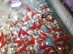 -水晶之星洗浴温泉汗蒸