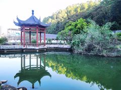 -广州神农草堂中医药博物馆