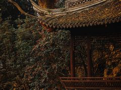 -秋霞圃