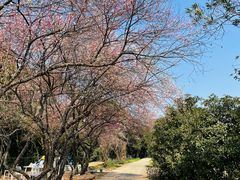 -青龙山国家森林公园