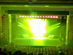 -东北风阿厦剧院(民康路店)