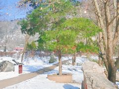 -秦岭终南山世界地质公园翠华山景区