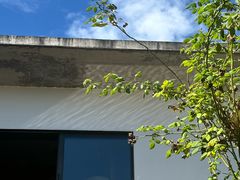 -翠田Green Field Kitchen