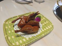 -港升鱼师傅·中山脆肉鲩