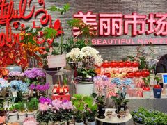 -豆豆花艺(新光天地店)
