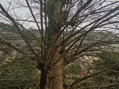 -大慈岩风景区