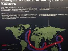 -新加坡海洋生态馆