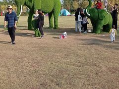 -九龙湖公园