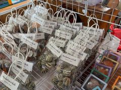 -蓝湾碧波·老字号·疍家非遗海上餐厅