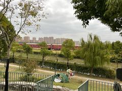 -菊园百果园