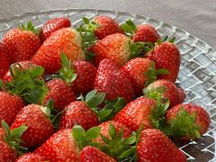 -桉树林A coffee 森林餐厅(三圣乡店)