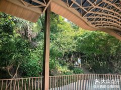 -东明山森林公园