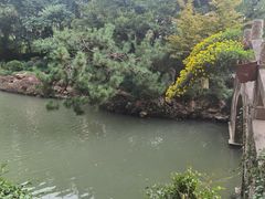 -上海醉白池公园