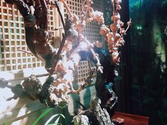 景观位-聚缘堂·海鲜私房菜(松岭路店)