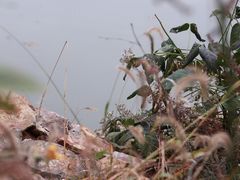 -南京市无想山景区