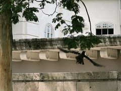 -吉隆坡国油双峰塔