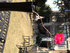 iphone_upload_pic-大可堂普洱茶馆(襄阳南路馆)