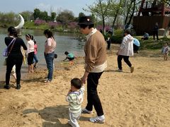 -瑶湖郊野森林公园