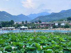 -泰山风景名胜区-虎山公园