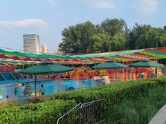 -莲花池公园