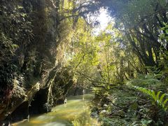 -怀托摩萤火虫洞