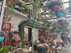 -溪岸路花鸟市场