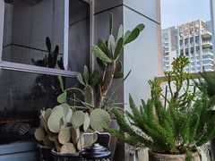 -FUNFUN有饭花园聚会餐厅