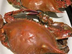 -长崎家日式料理(人民大街店)