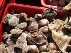 -陈记菜馆·非遗淮扬菜(东关街教场店)