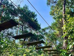 -芦仙山景区-飞越丛林探险乐园