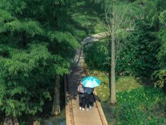 -云溪植物园