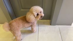 -非常六加一儿童摄影(同安店)