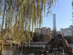 -团结湖公园