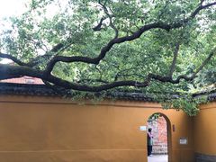 -西园戒幢律寺