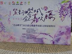 -嘉定紫藤园