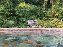 -中家鑫园温泉酒店鑫悦汤泉