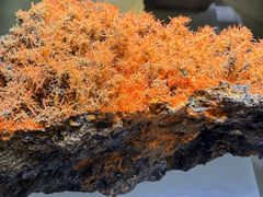 -湖南省地质博物馆