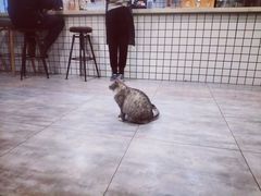-有何Book(六堰体育馆店)