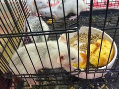 -北京华联购物中心(天通苑店)