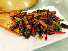 -宝发园名菜馆